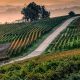 monferrato1