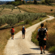 Via Francigena1